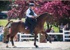Pferd International 057